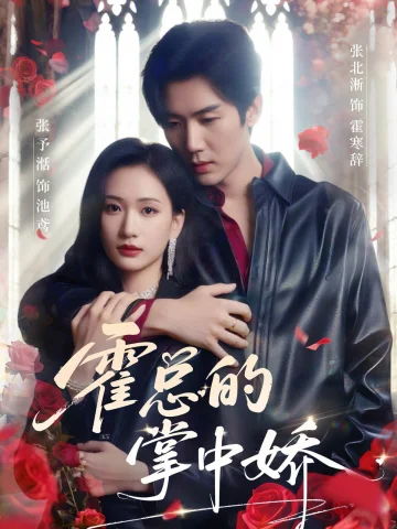 霍总的掌中娇