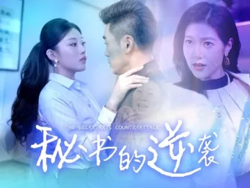 秘书的逆袭