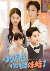 小厉总你找错妹妹了