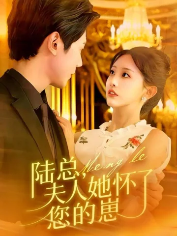 陆总，夫人她怀了您的崽